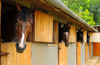 free Cilcewydd stable construction quotes